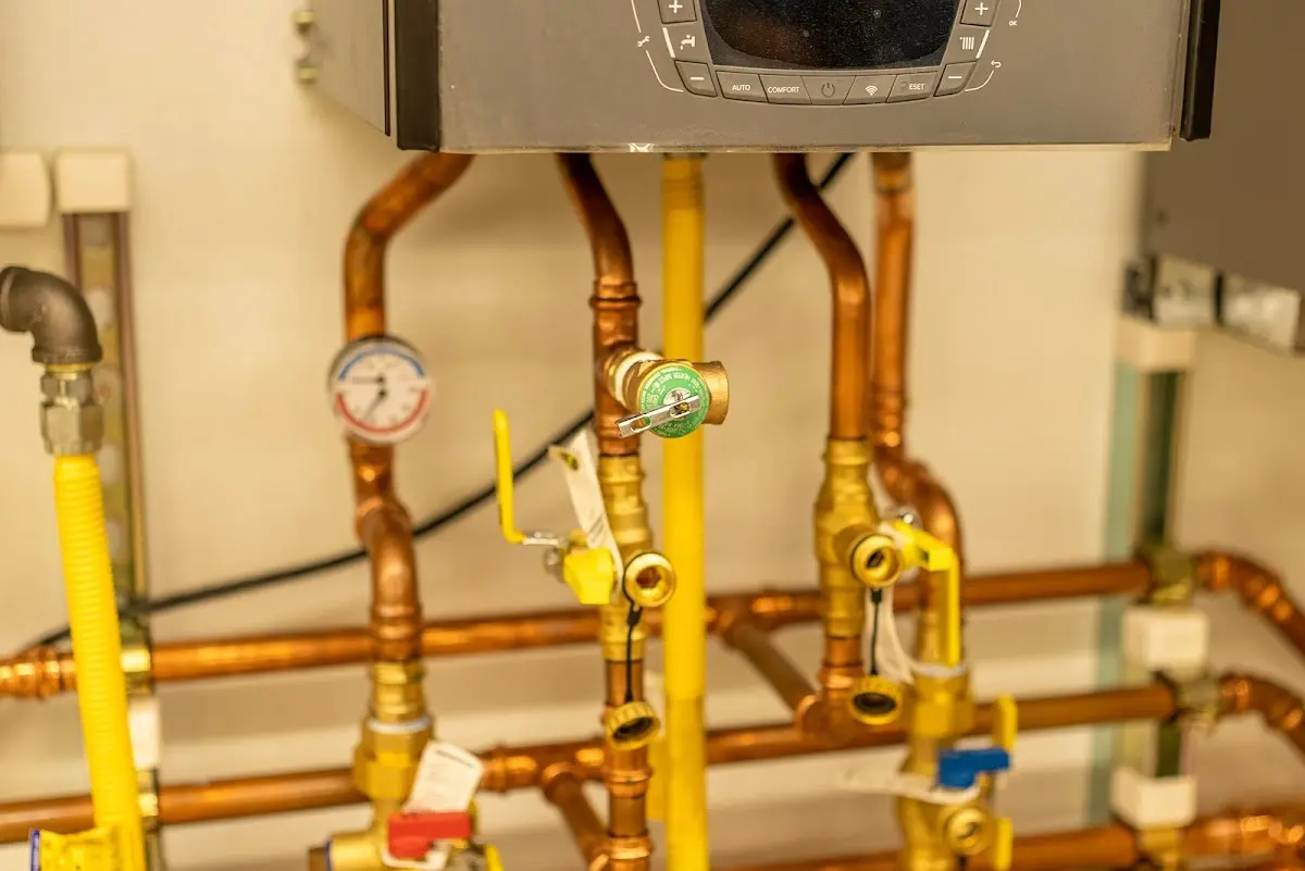 Licensed technician providing Sump Pump Repair for a homeowner in Hampton